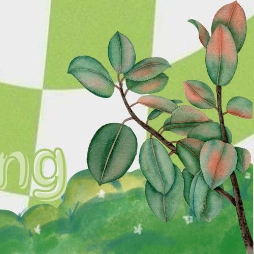 A moment captured by a fan of Park Boyoung