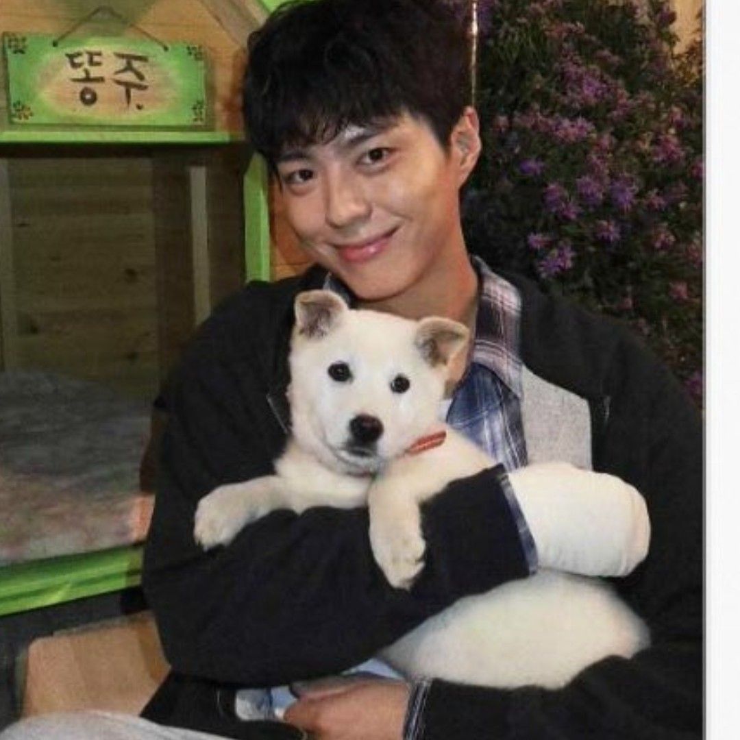 A moment captured by a fan of Park Bogum