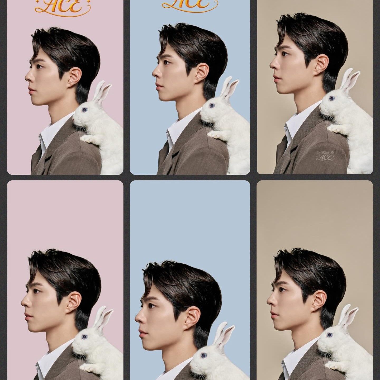 Latest photo of Park Bogum