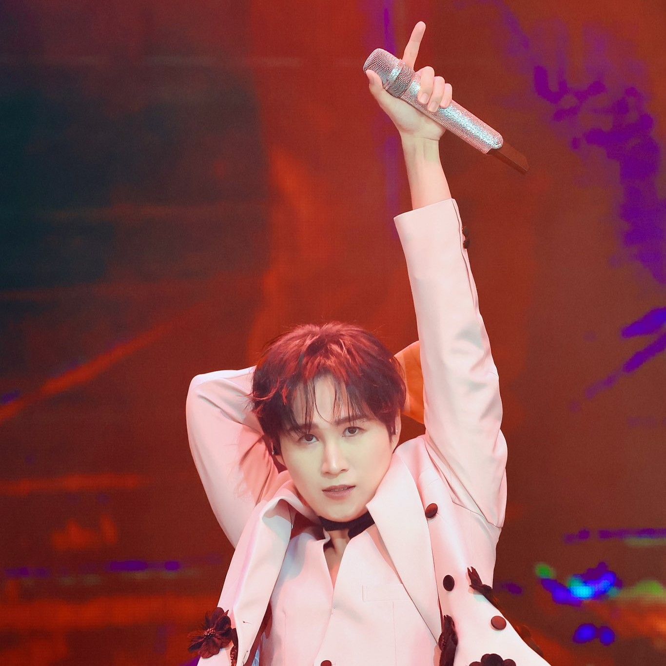 金熙栽的最新照片