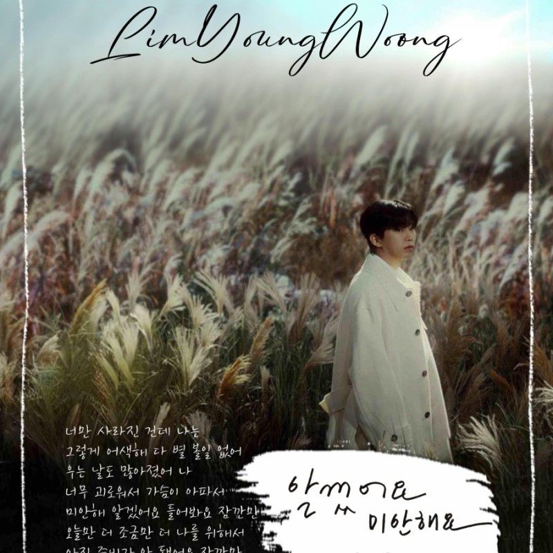 Cuplikan di balik layar dari Lim Youngwoong