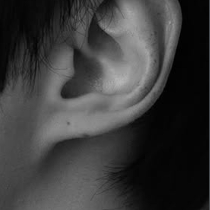 李俊昊的最新照片