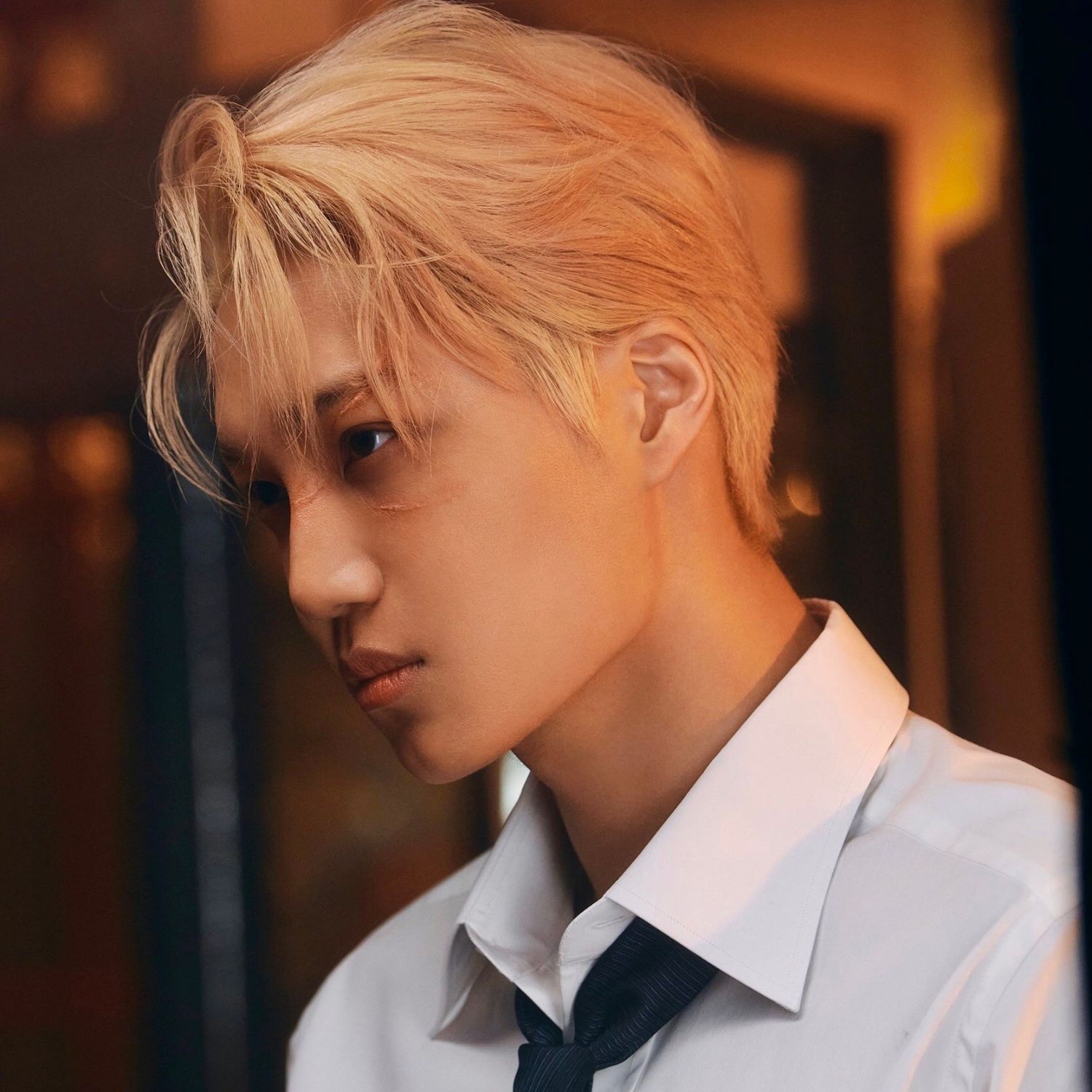 카이 팬이 찍은 순간