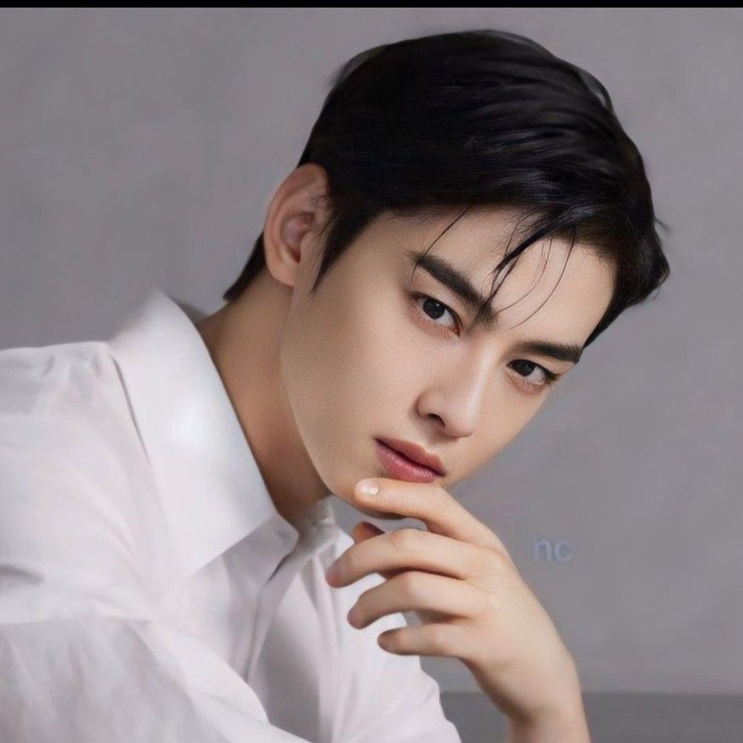 차은우 팬이 찍은 순간
