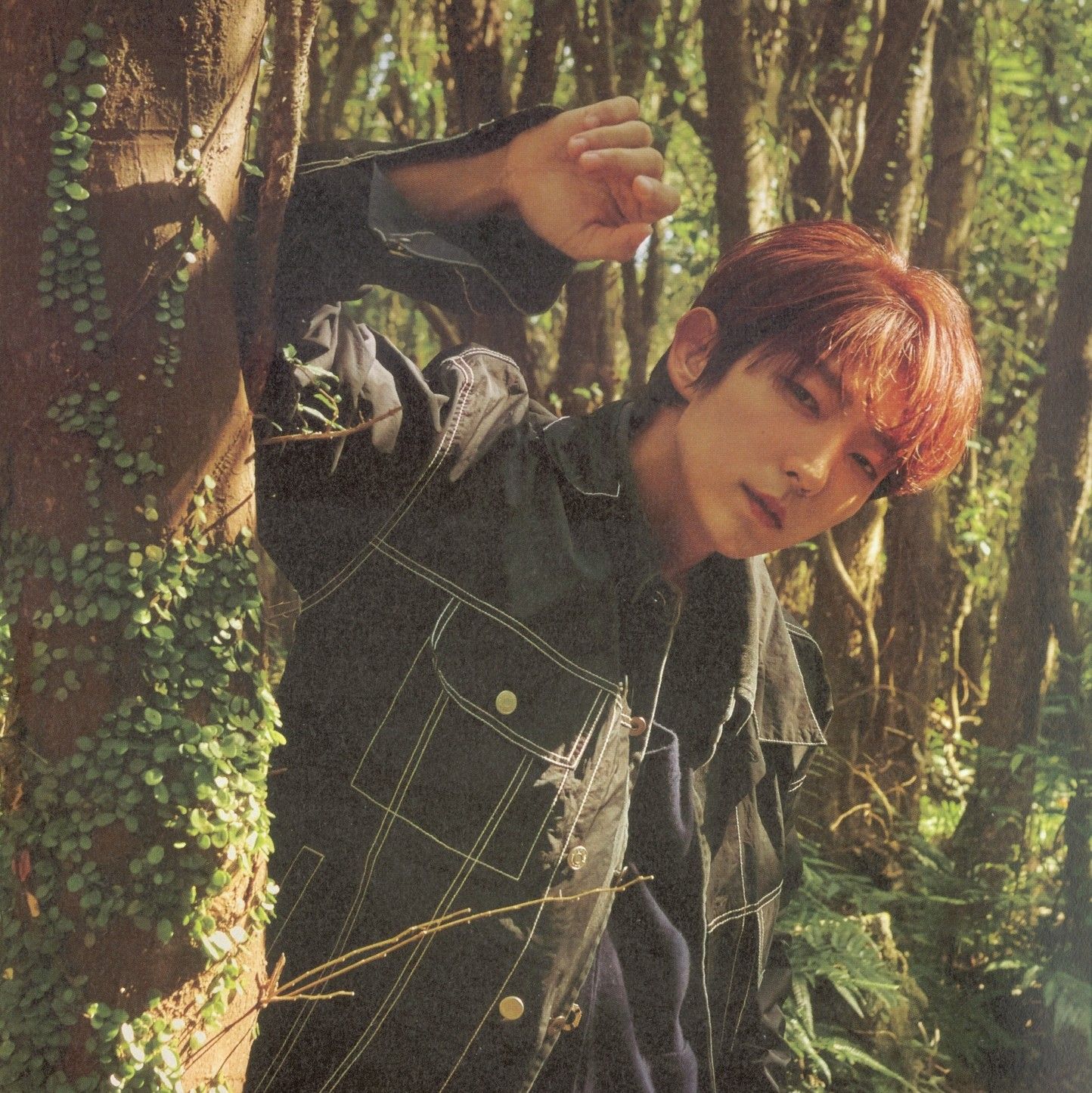 李準基的近期活動照