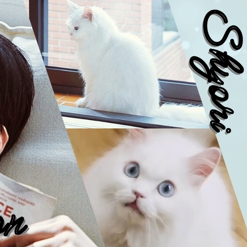 Recent activity shot of Seo Kangjoon