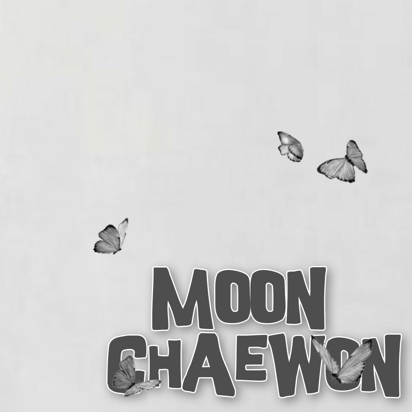 Latest photo of Moon Chaewon