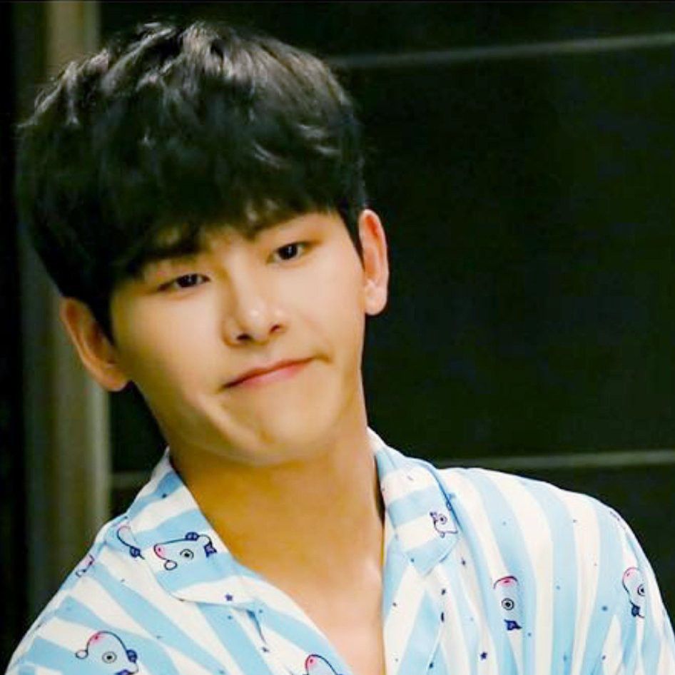 Recent activity shot of Hoya
