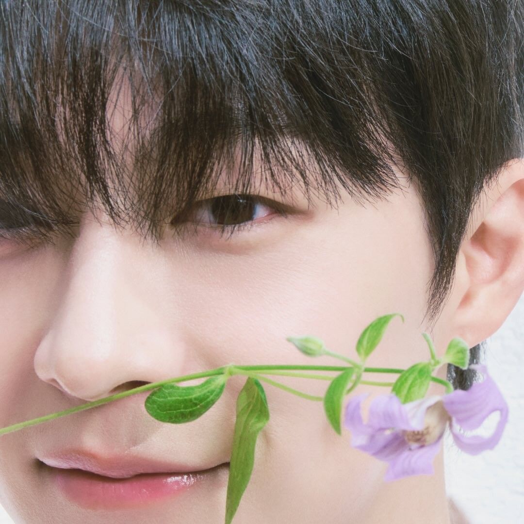 Behind-the-scenes cut of Bae Inhyuk