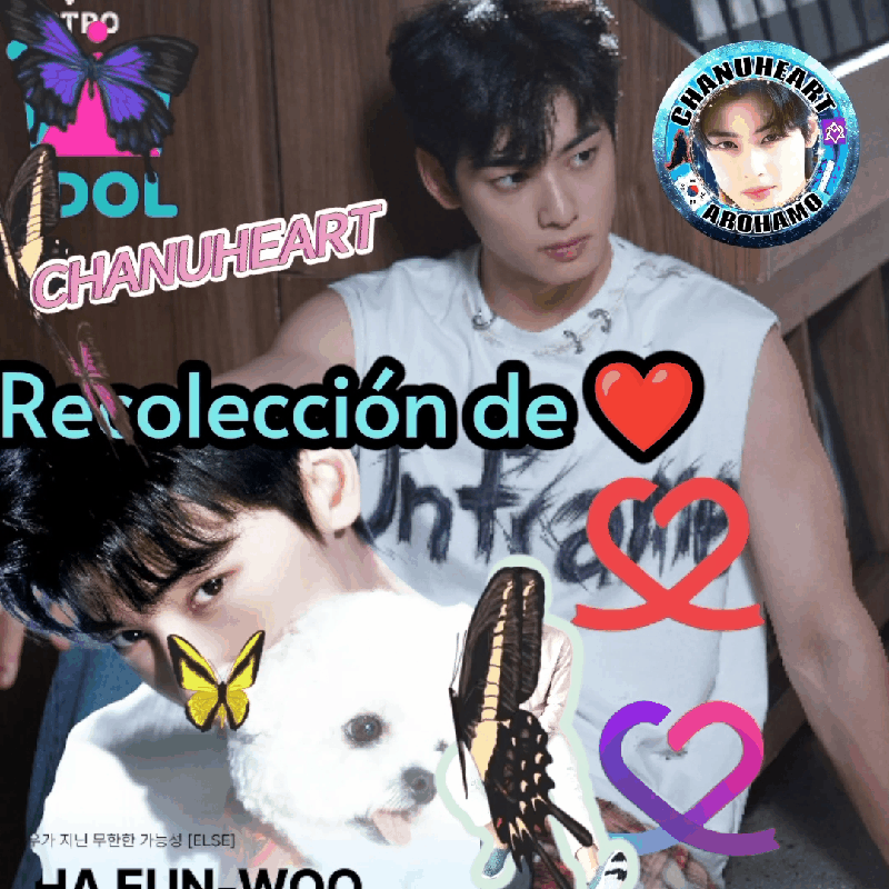 Foto kegiatan terbaru dari Cha Eunwoo