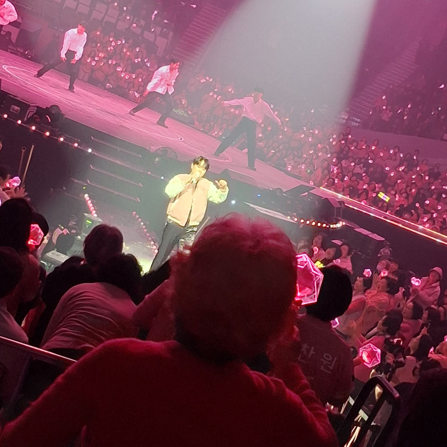 이찬원 팬이 찍은 순간