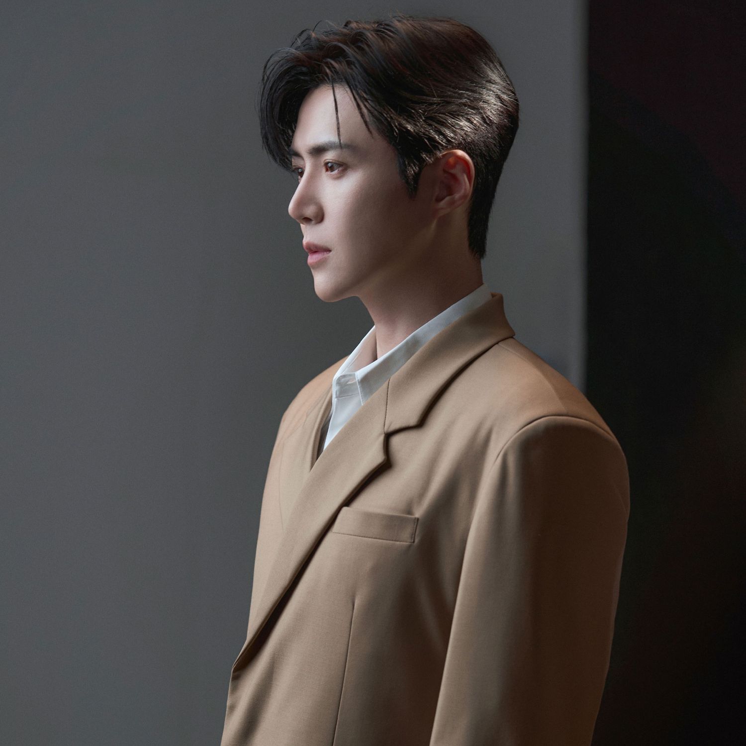 Recent activity shot of Kim Seonho