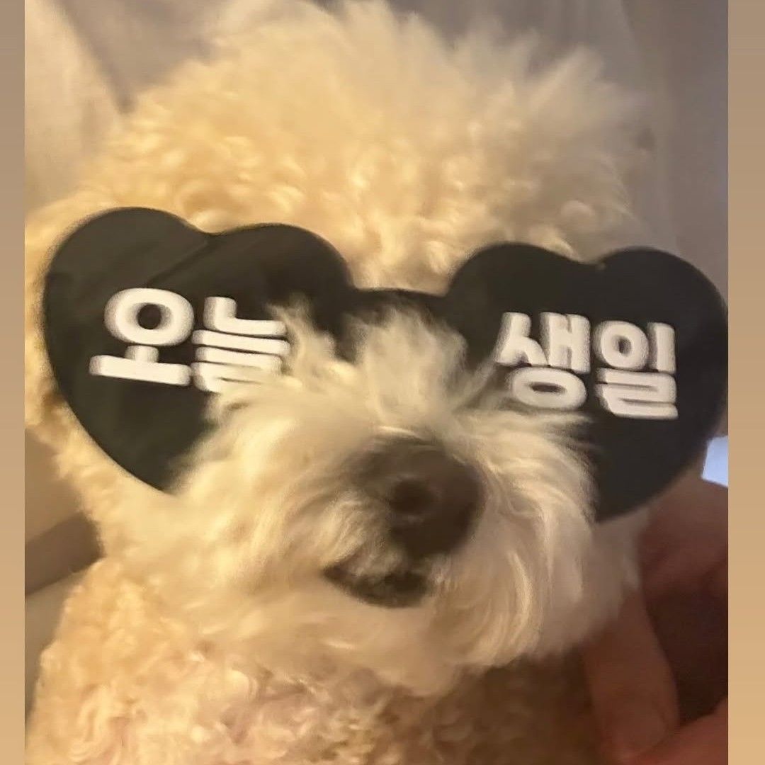Recent activity shot of Kim Seonho