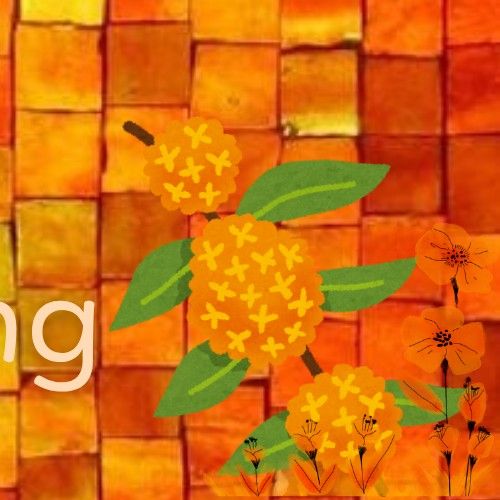 Latest photo of Park Boyoung