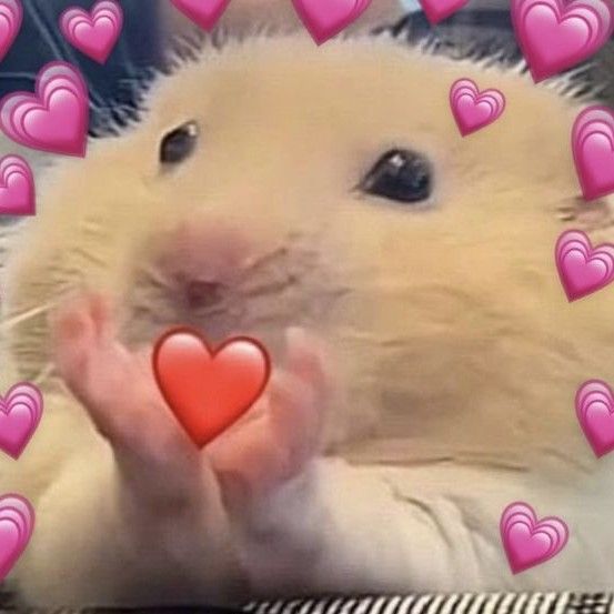 아이유 최근 활동샷