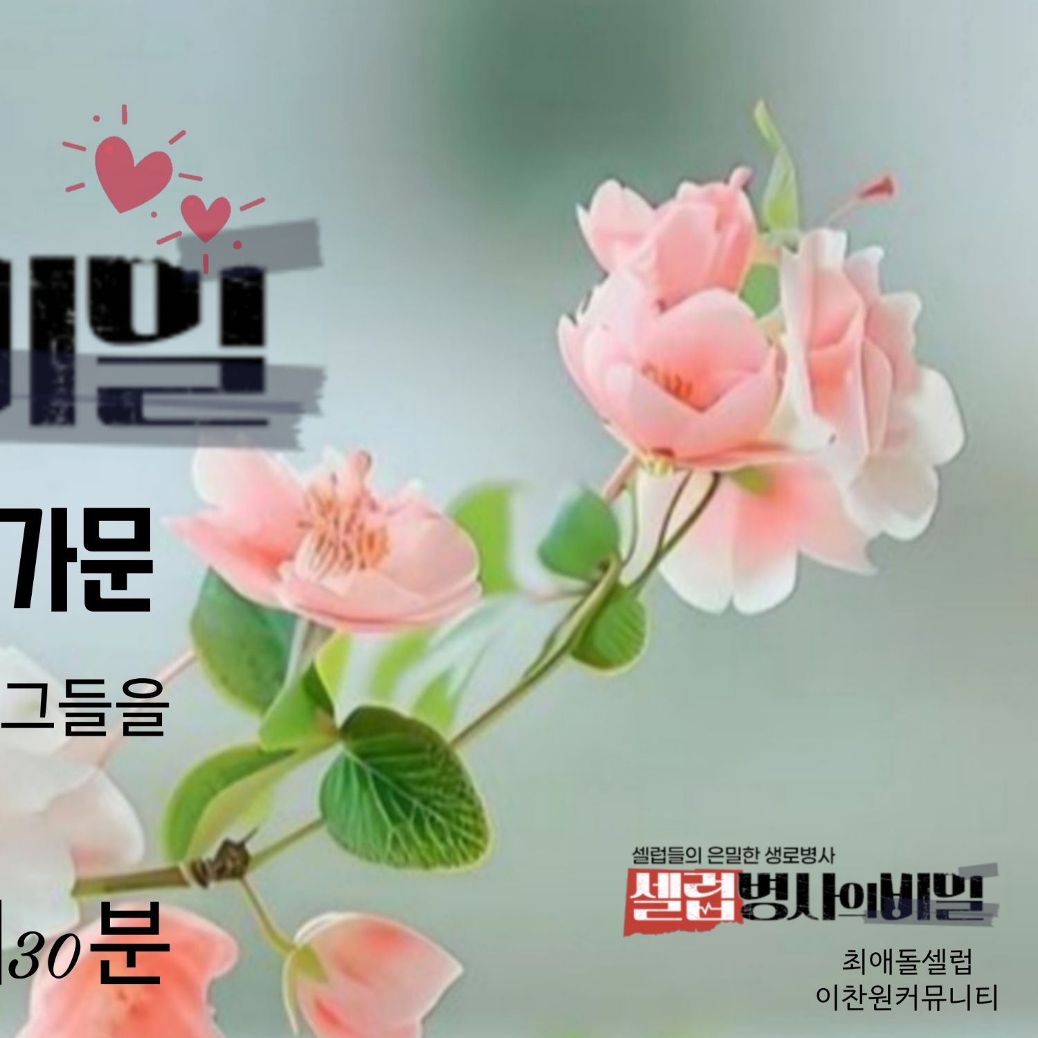 Momen yang diabadikan oleh penggemar Lee Chanwon