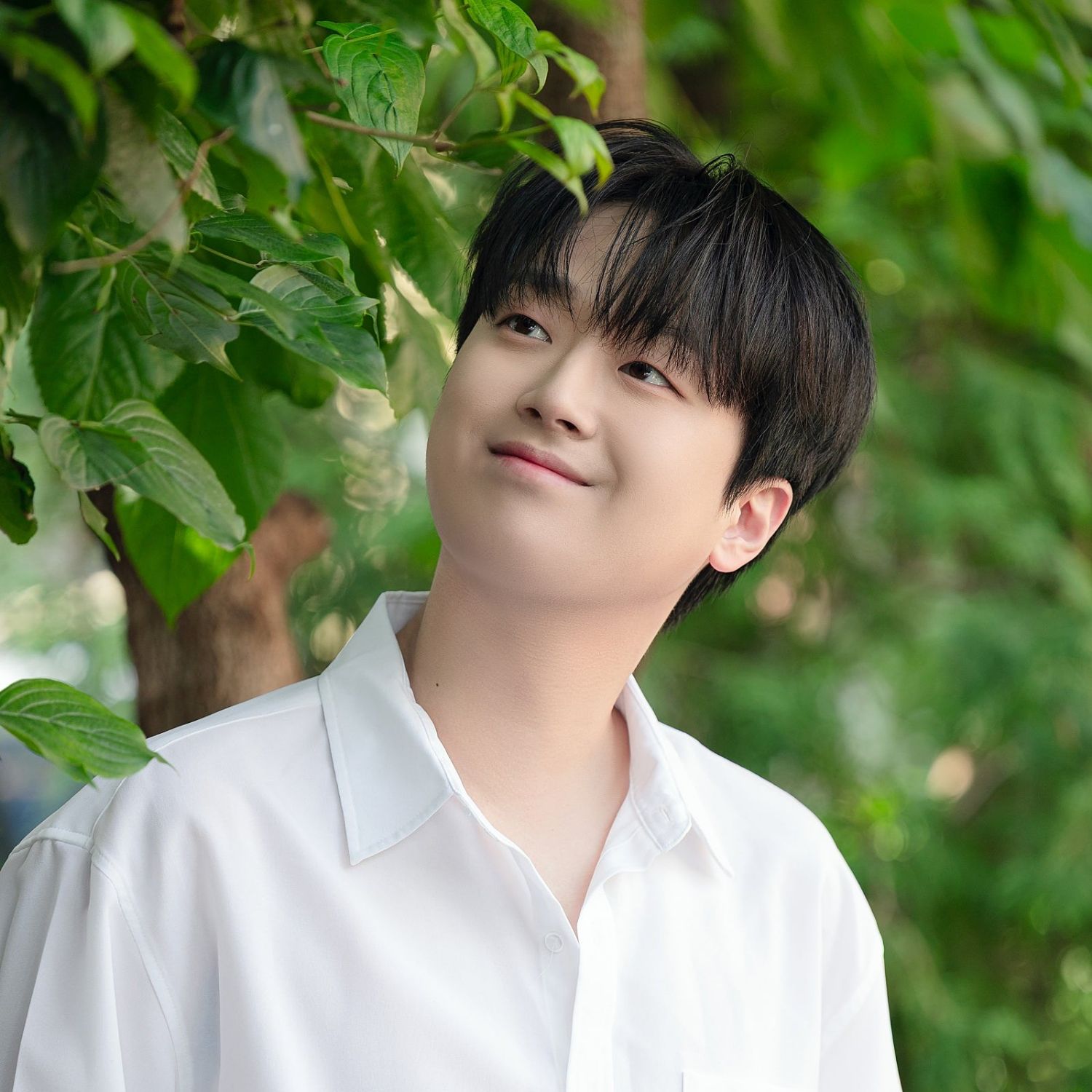 이찬원의 최신 사진