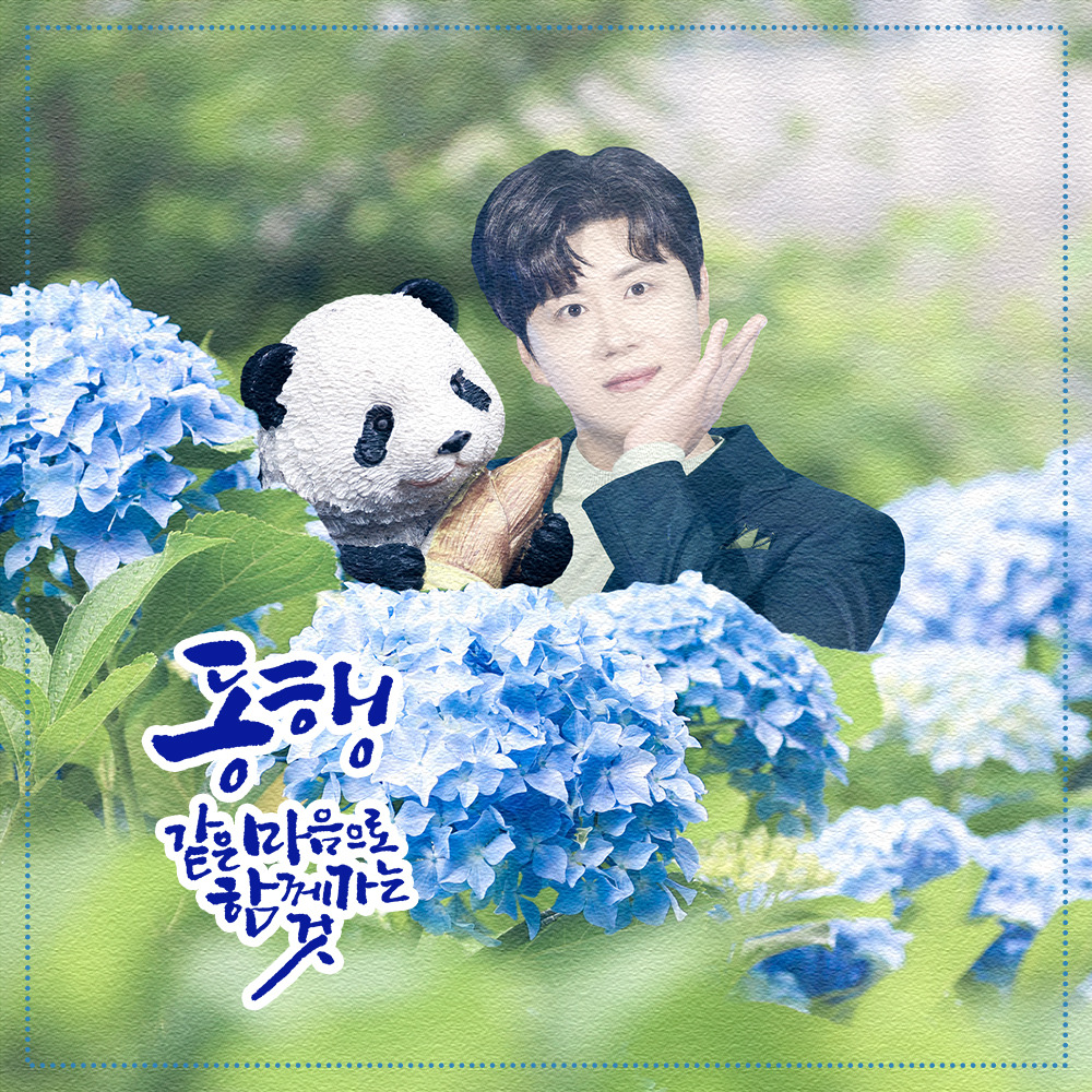 A moment captured by a fan of Jin Haesung