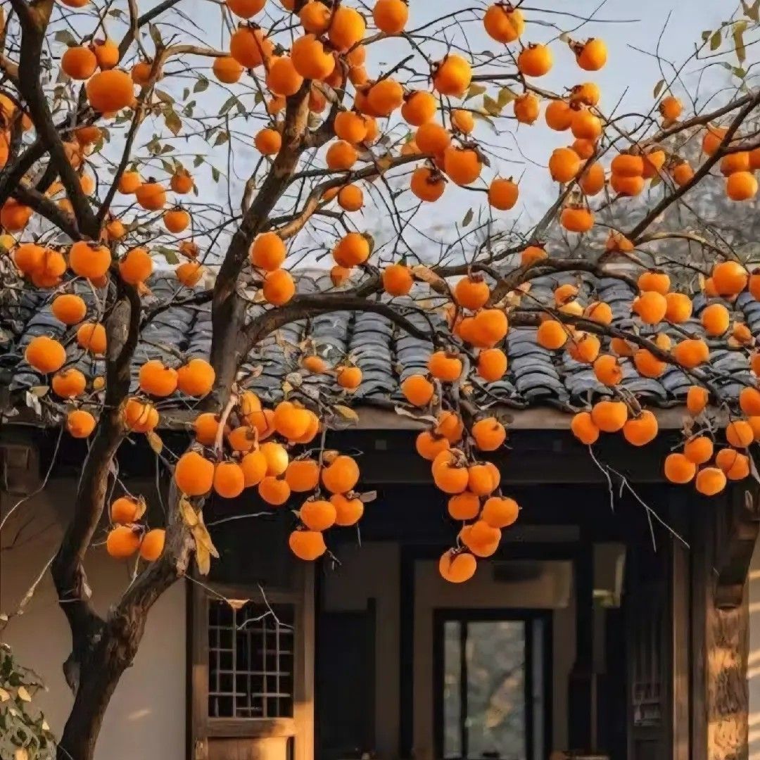 金浩中的幕后花絮