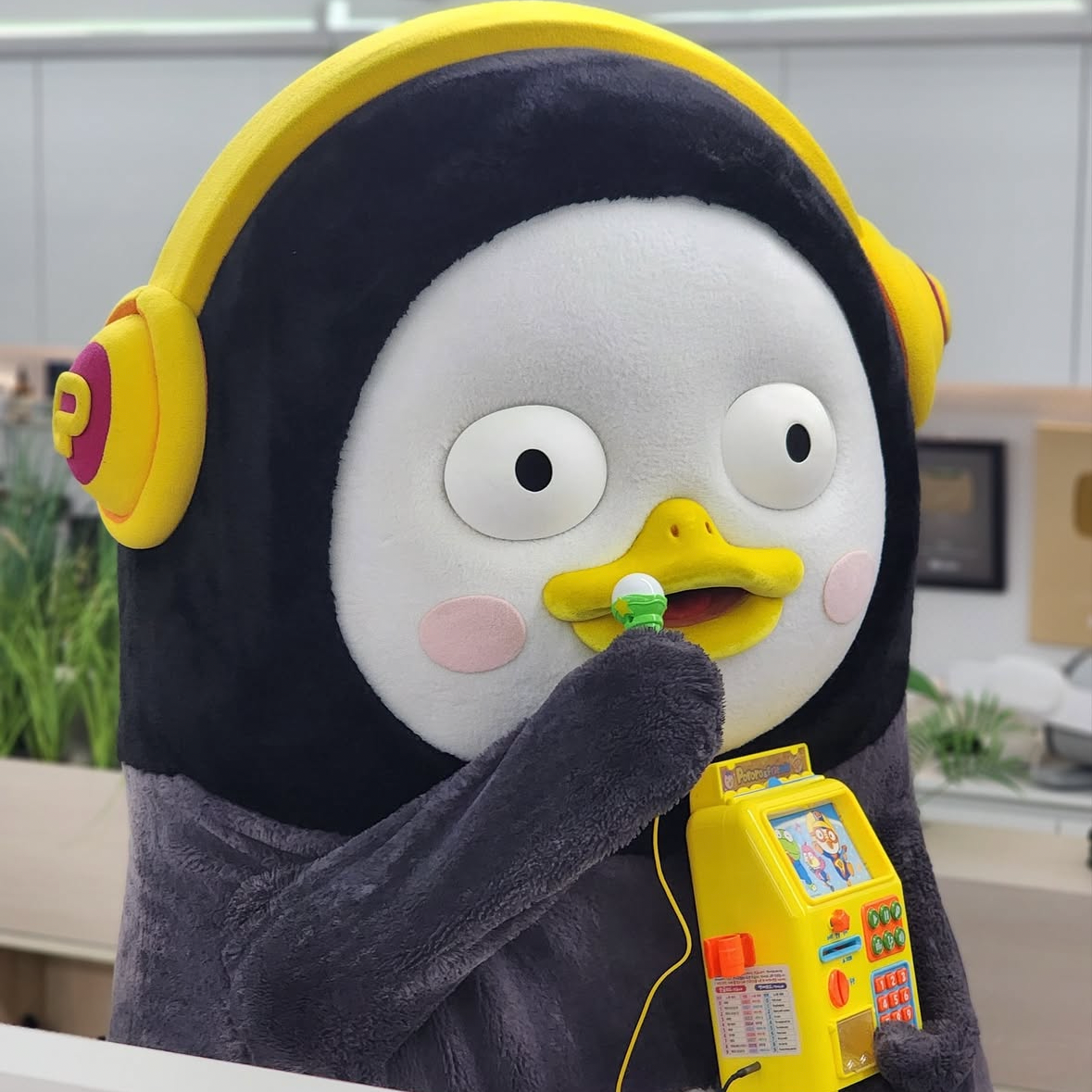 Foto terbaru dari Pengsoo