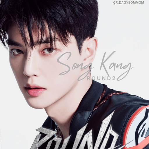 Recent activity shot of Song Kang