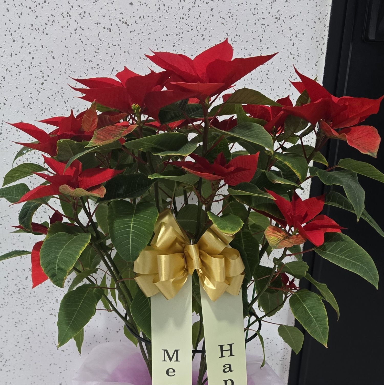 粉丝拍下的晋海成瞬间