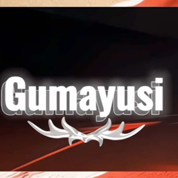 Representative photo of Gumayusi showing their charm