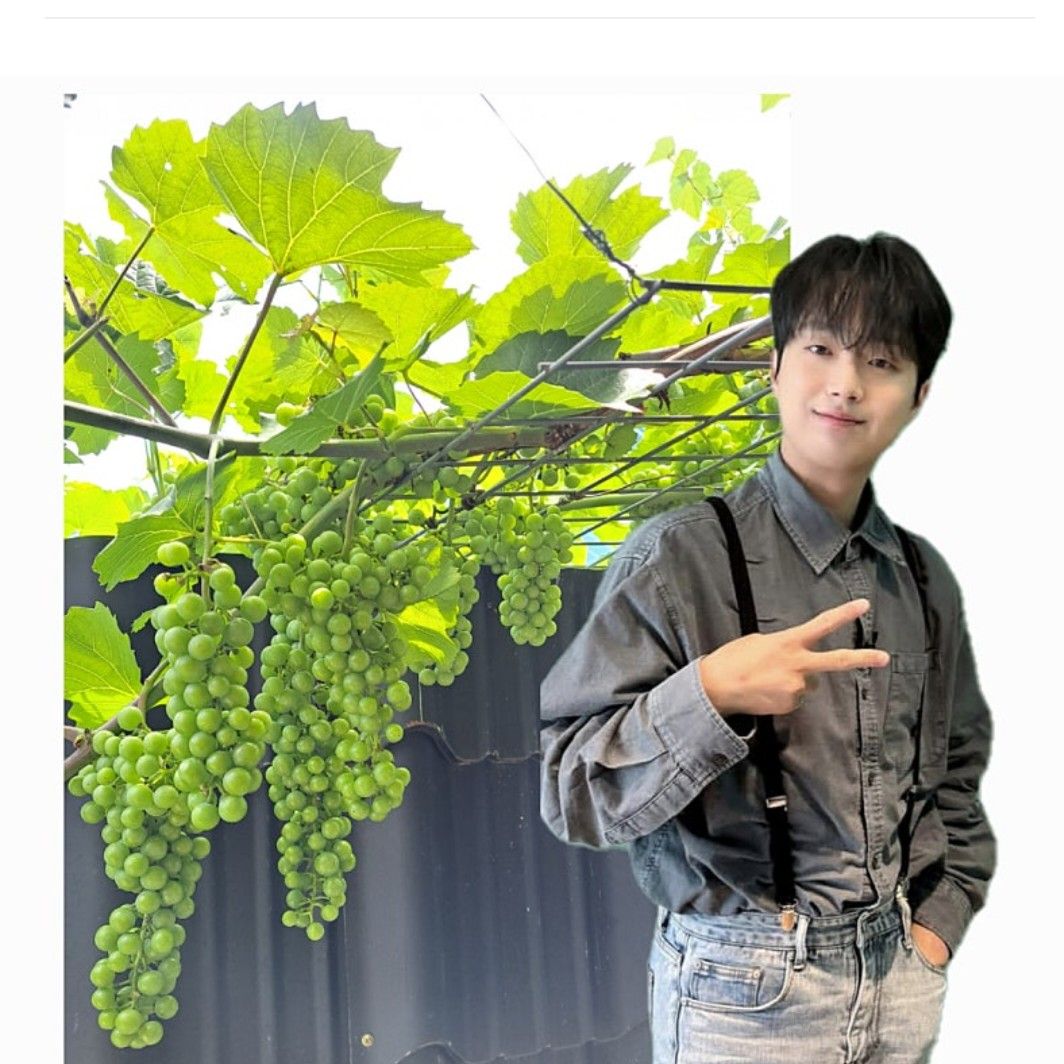 이찬원의 최신 사진