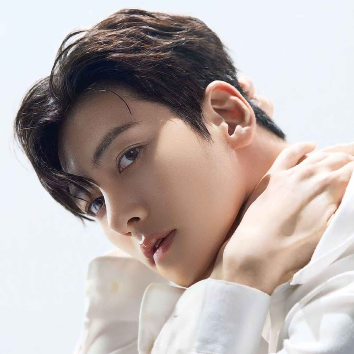 チ・チャンウクのビハインドカット