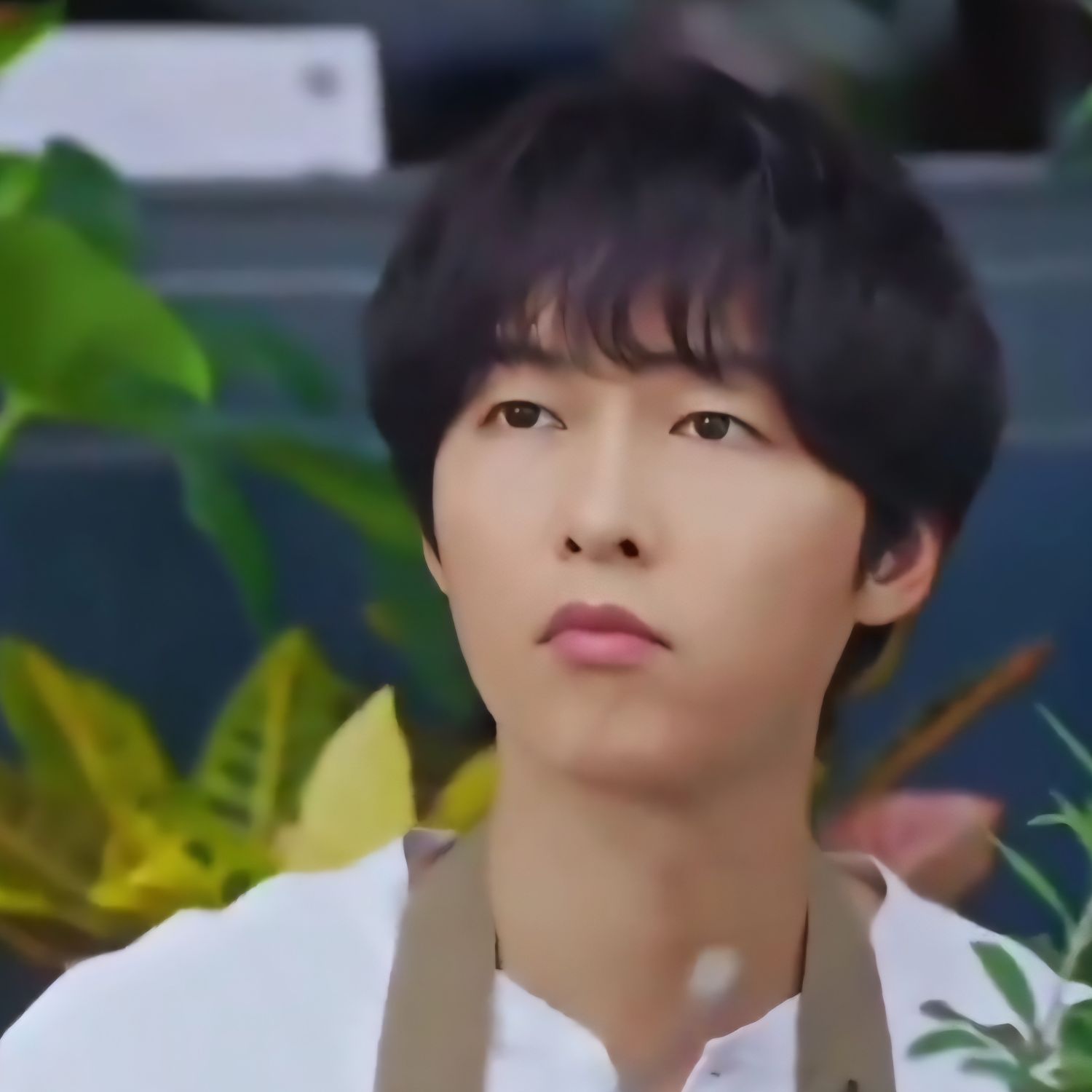 Recent activity shot of Song Joongki