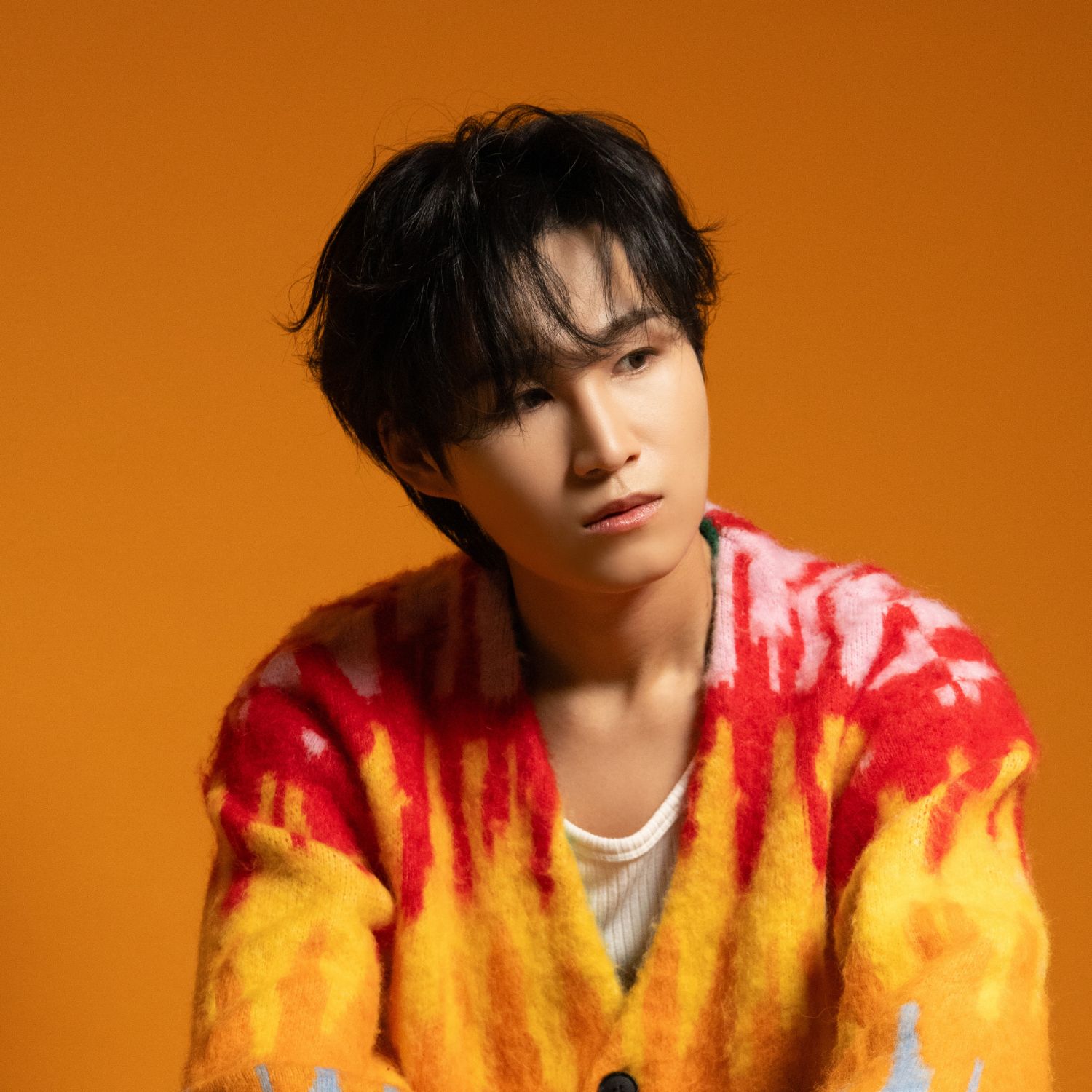 金熙栽的近期活動照