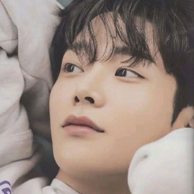 路雲的最新照片