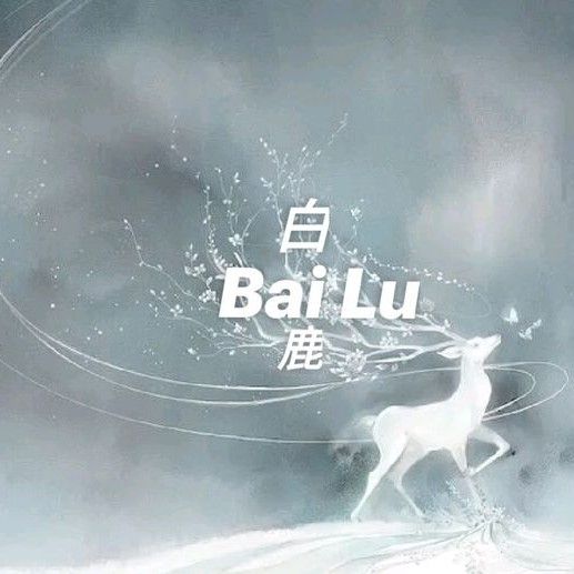 Behind-the-scenes cut of Bai Lu