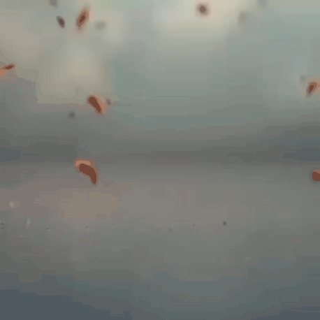 丁海寅的幕後花絮