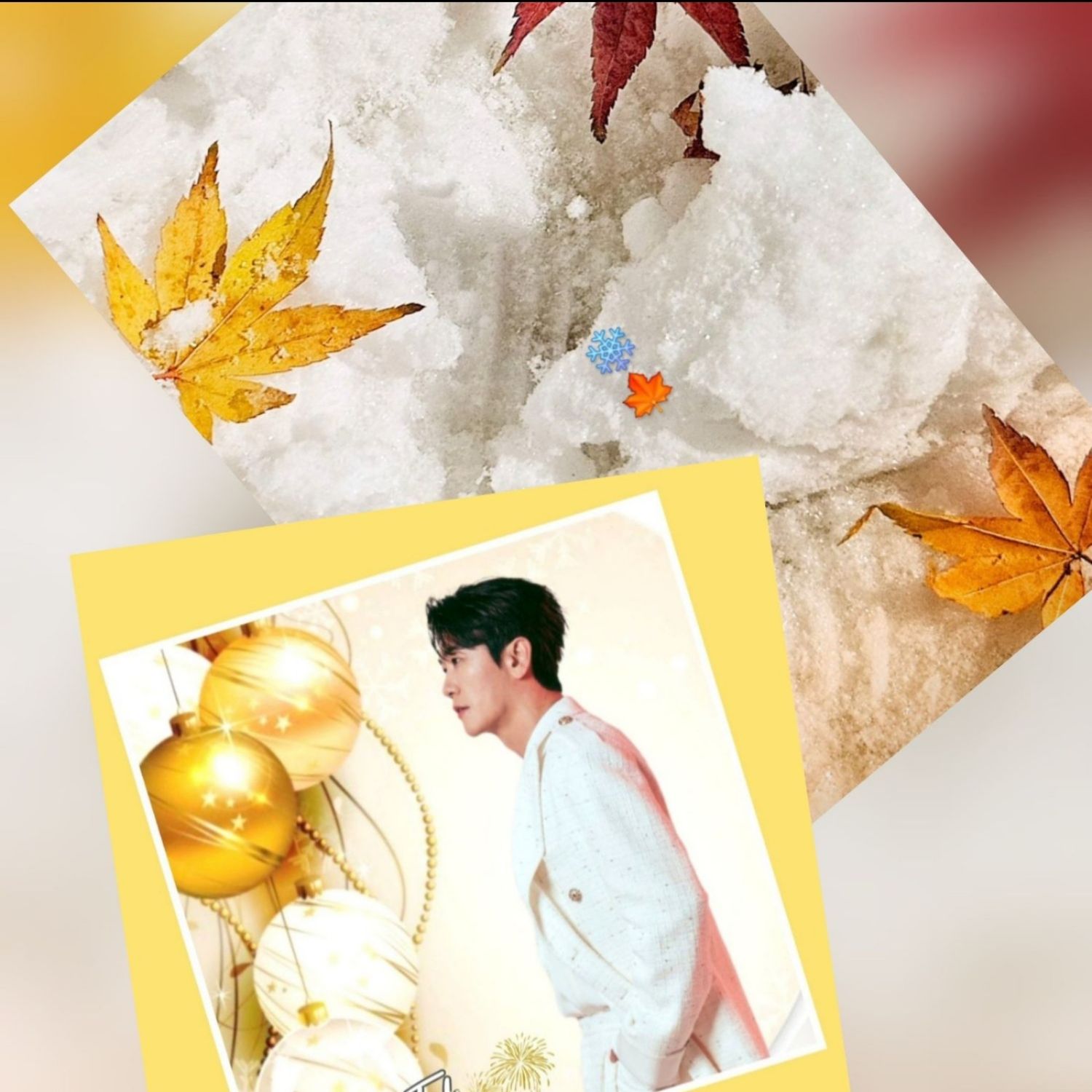 永卓的最新照片