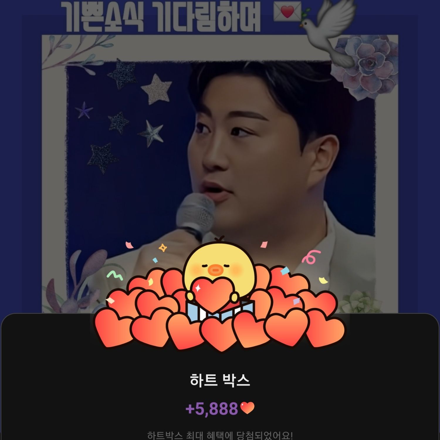 金浩中的最新照片