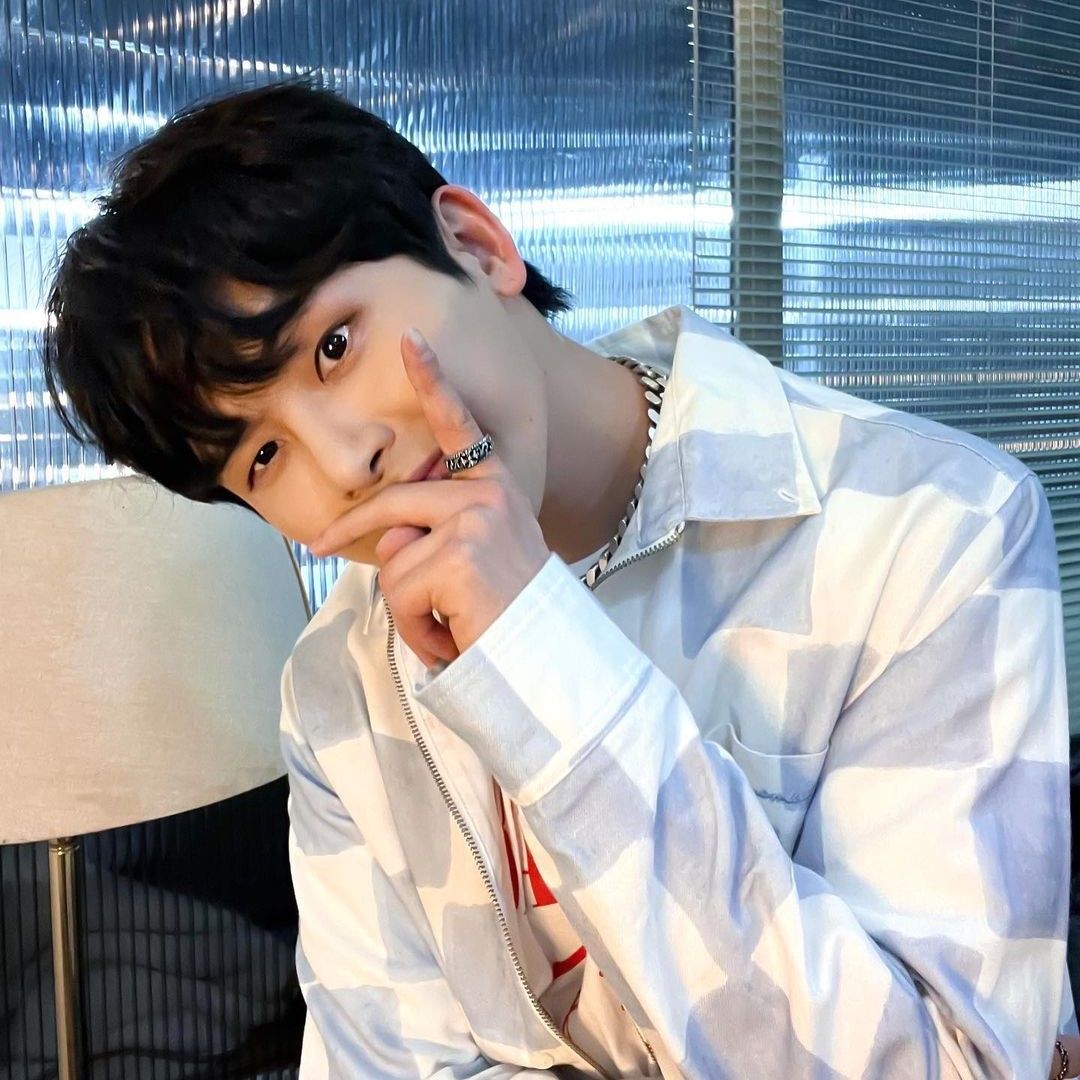 Latest photo of Hoya