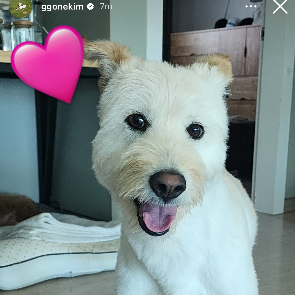 Foto terbaru dari Kim Goeun