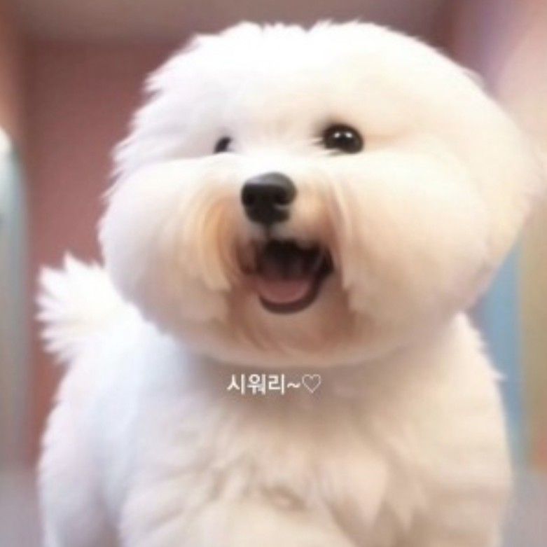 Recent activity shot of Lim Youngwoong