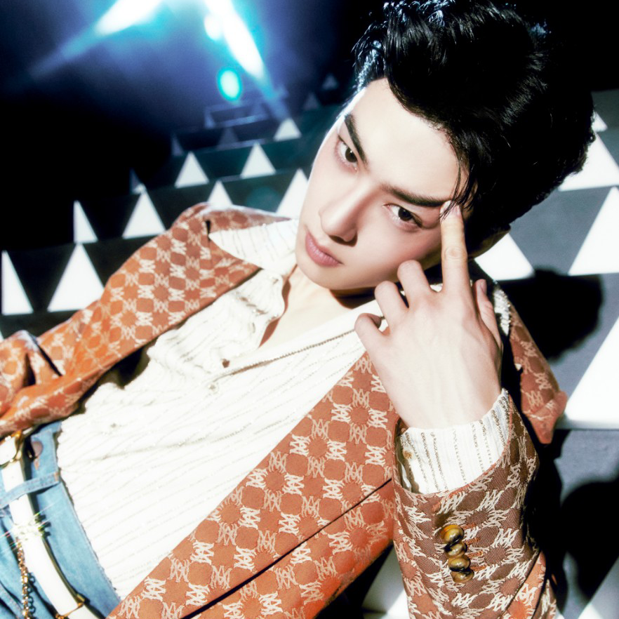 A moment captured by a fan of Cha Eunwoo