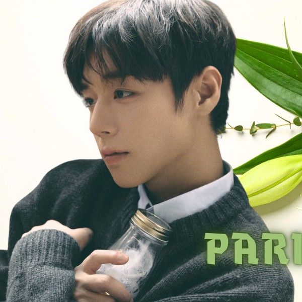 Recent activity shot of Park Jihoon