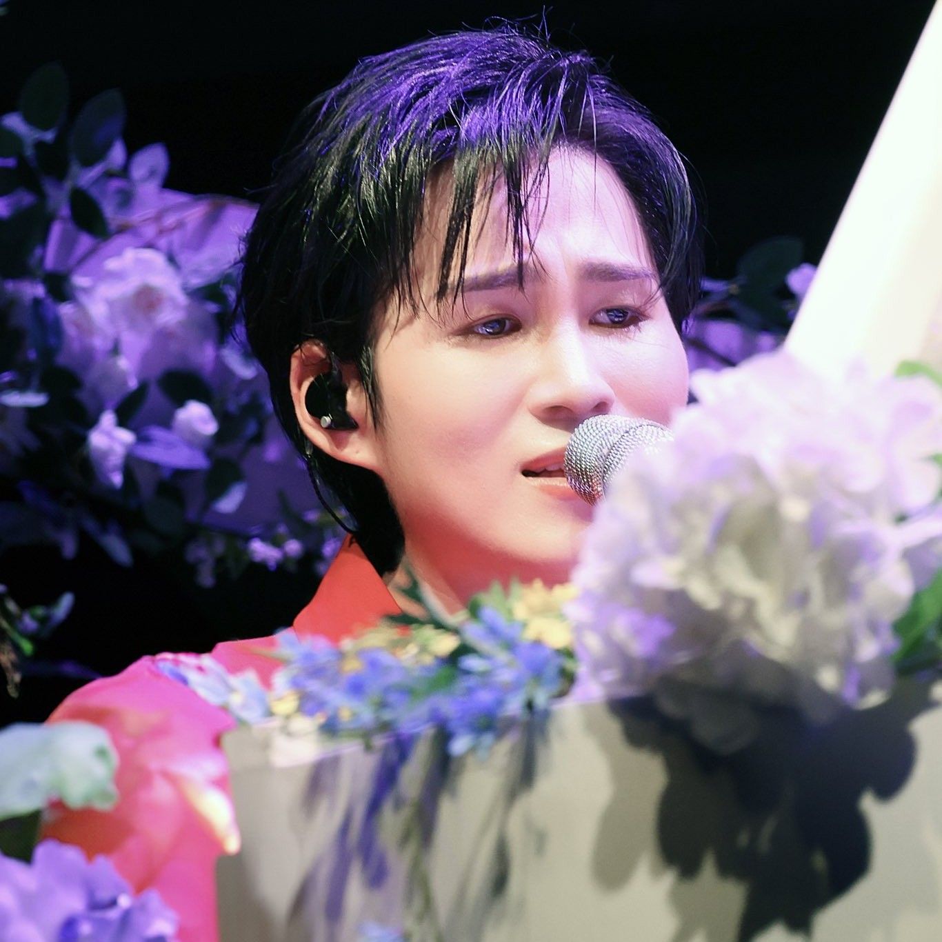 金熙栽的幕后花絮