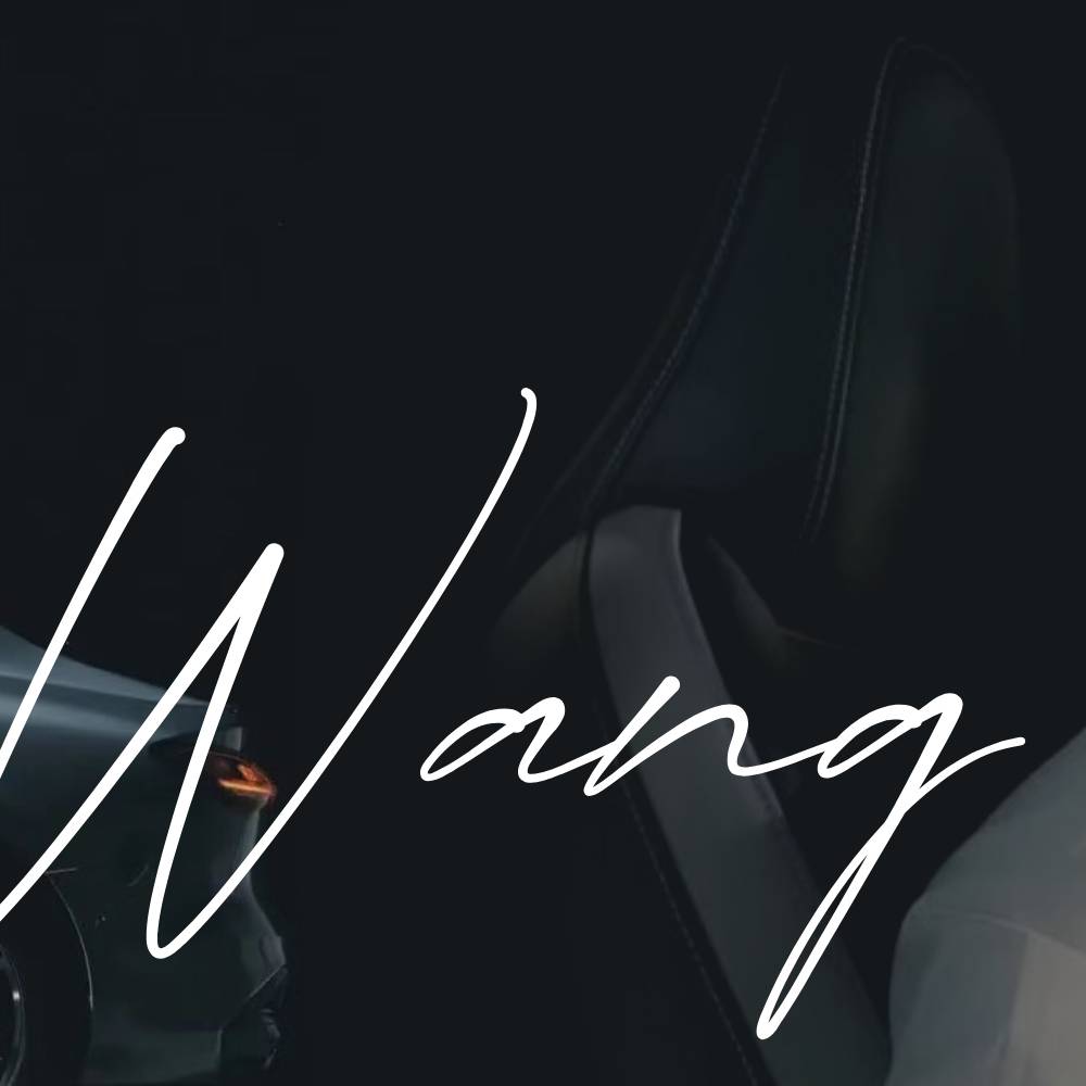 Recent activity shot of Wang Yibo