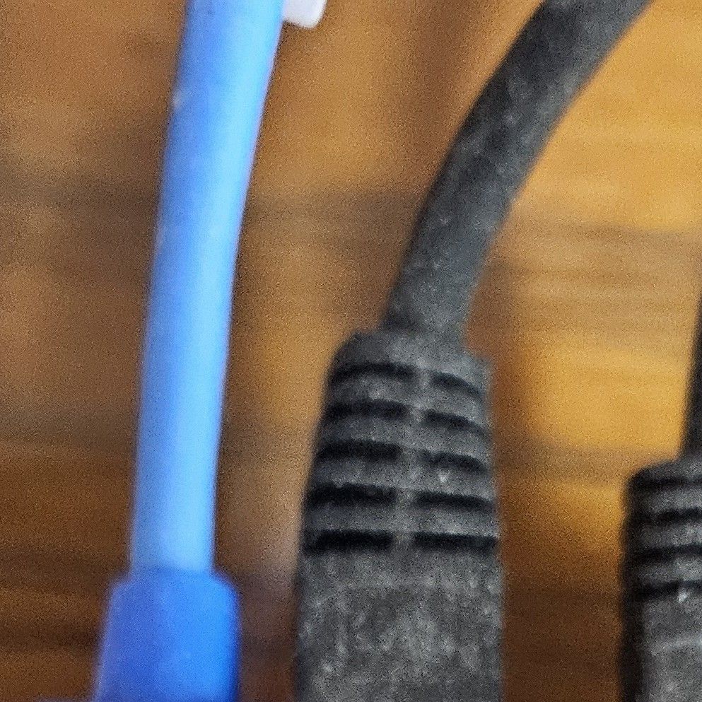 金浩中的最新照片
