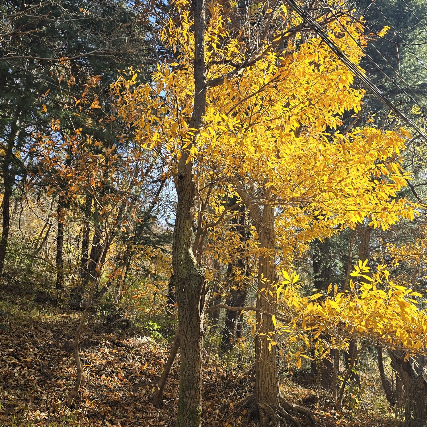粉丝拍下的金浩中瞬间