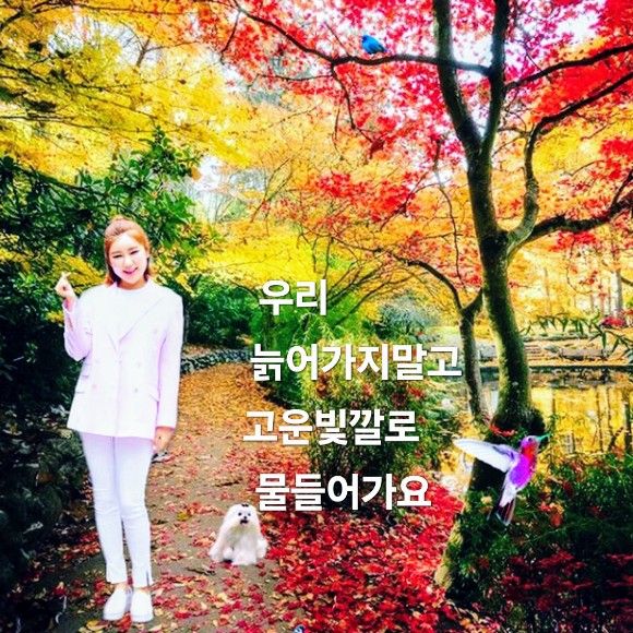 ソン・ガインのビハインドカット