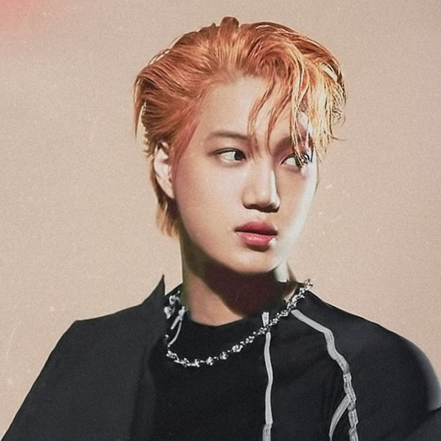 카이 팬이 찍은 순간