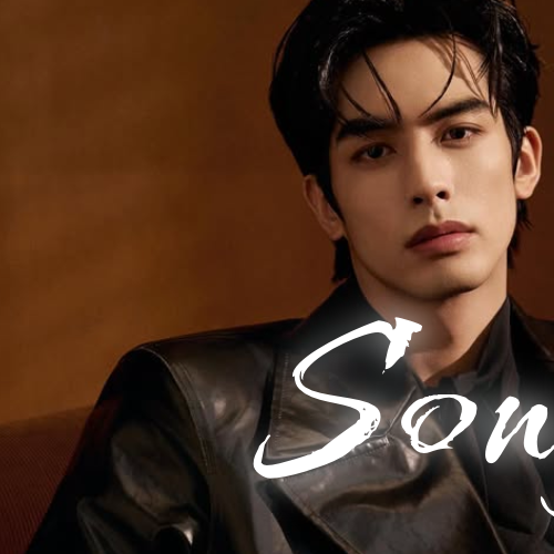A moment captured by a fan of Song WeiLong
