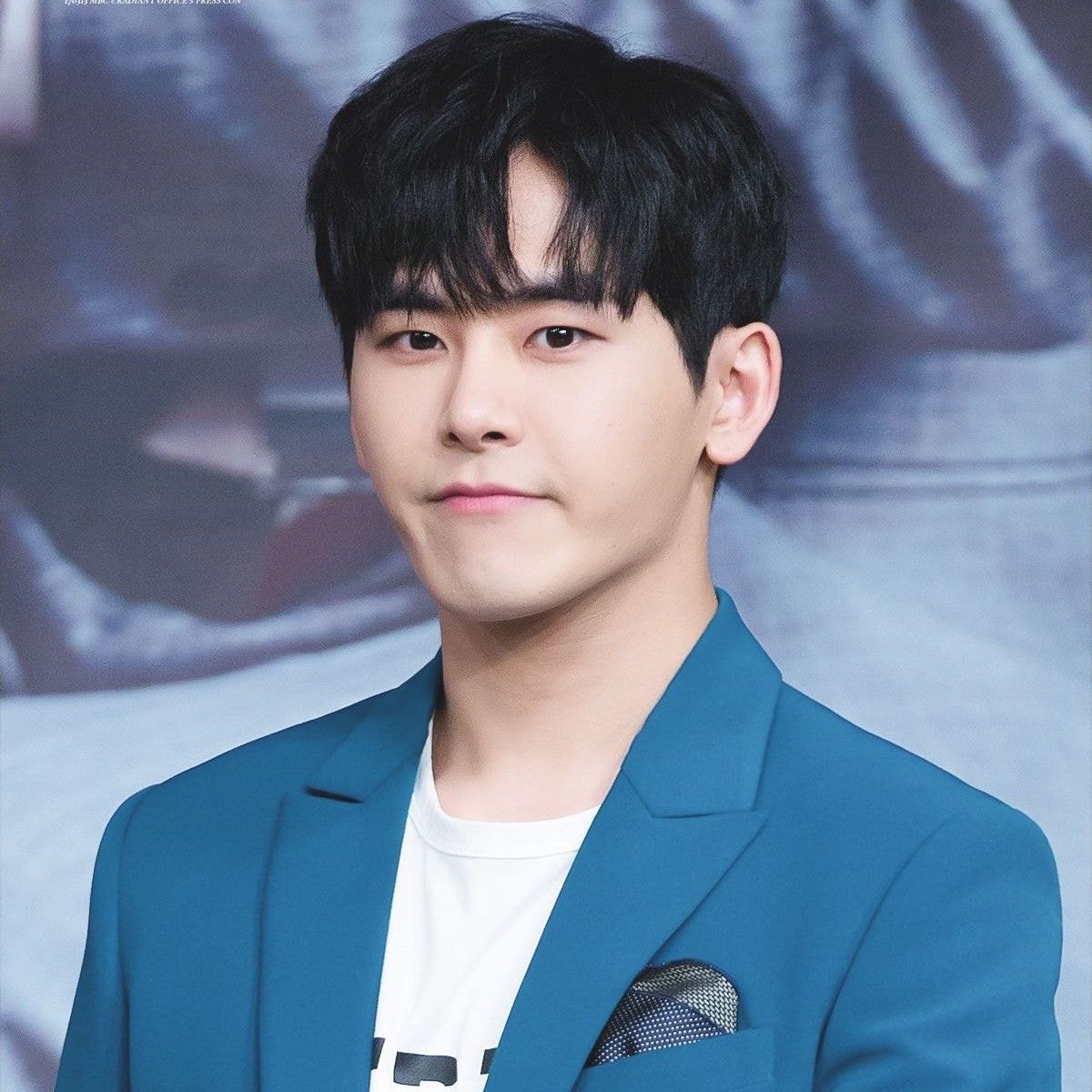 Recent activity shot of Hoya