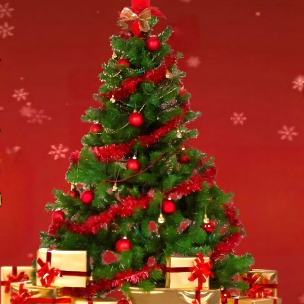 ファンが撮影したキム・ホジュンの瞬間